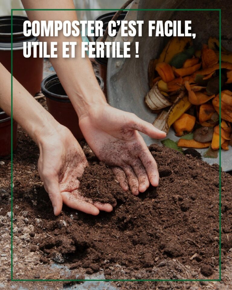 Mains qui touchent du compost