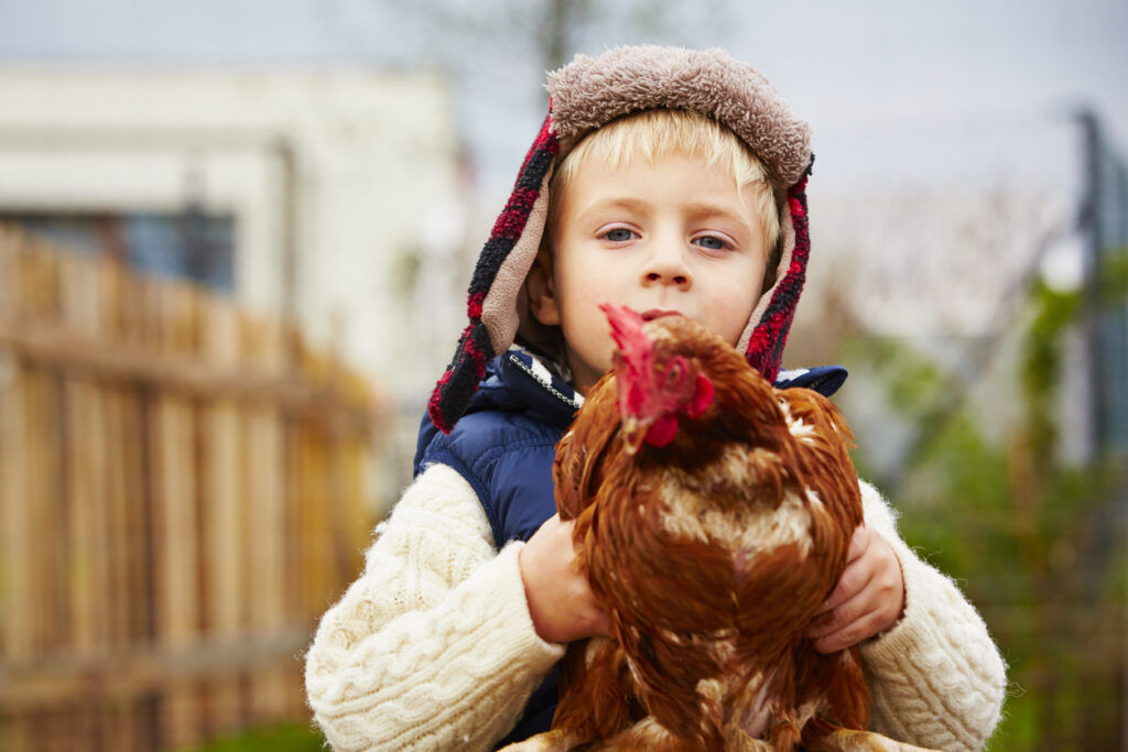 Jeune enfant avec une poule dans les mains 